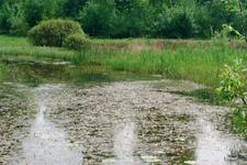 heemtuin_225x150_016.jpg