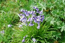 heemtuin_225x150_018.jpg