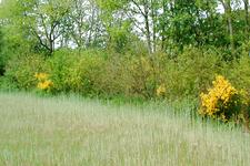 heemtuin_225x150_019.jpg