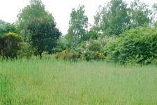 heemtuin_225x150_020.jpg