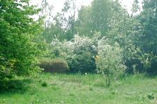 heemtuin_225x150_022.jpg