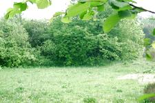 heemtuin_225x150_024.jpg