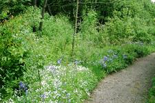 heemtuin_225x150_025.jpg