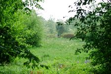 heemtuin_225x150_026.jpg