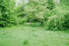heemtuin_225x150_028.jpg