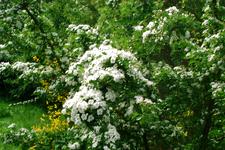 heemtuin_225x150_034.jpg