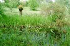 heemtuin_225x150_045.jpg