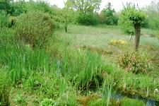 heemtuin_225x150_046.jpg