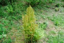 heemtuin_225x150_047.jpg