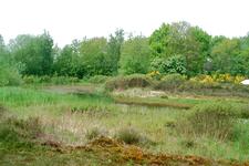 heemtuin_225x150_048.jpg