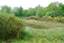 heemtuin_225x150_049.jpg