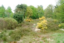 heemtuin_225x150_050.jpg