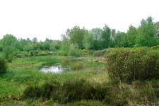 heemtuin_225x150_051.jpg