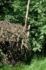 heemtuin_150x225_002.jpg