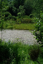 heemtuin_150x225_010.jpg