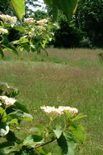 heemtuin_150x225_022.jpg