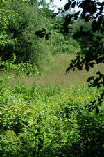 heemtuin_150x225_025.jpg