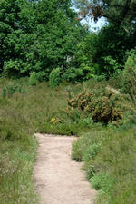 heemtuin_150x225_055.jpg