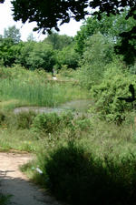 heemtuin_150x225_058.jpg