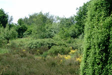 heemtuin_225x150_006.jpg
