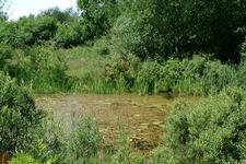 heemtuin_225x150_009.jpg