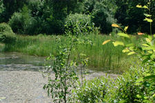heemtuin_225x150_012.jpg