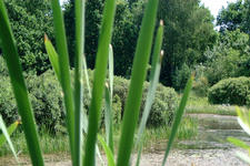 heemtuin_225x150_013.jpg
