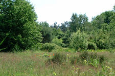 heemtuin_225x150_023.jpg