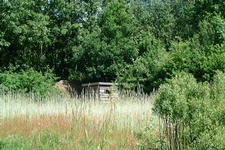 heemtuin_225x150_032.jpg