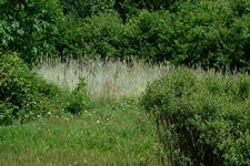 heemtuin_225x150_035.jpg
