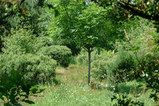 heemtuin_225x150_038.jpg