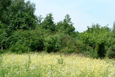 heemtuin_225x150_045.jpg