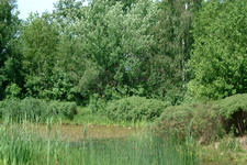 heemtuin_225x150_053.jpg