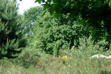 heemtuin_225x150_057.jpg