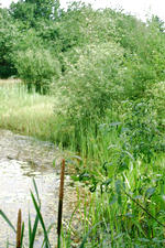 heemtuin_150x225_016.jpg