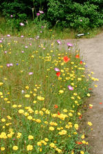 heemtuin_150x225_021.jpg