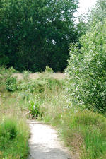heemtuin_150x225_042.jpg