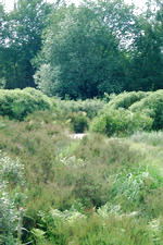 heemtuin_150x225_047.jpg