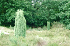heemtuin_225x150_005.jpg