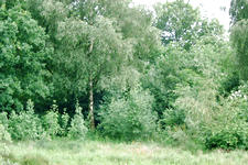 heemtuin_225x150_008.jpg