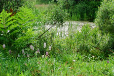 heemtuin_225x150_011.jpg