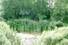 heemtuin_225x150_012.jpg