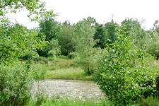 heemtuin_225x150_013.jpg