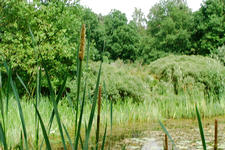 heemtuin_225x150_015.jpg