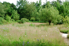 heemtuin_225x150_017.jpg