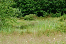 heemtuin_225x150_019.jpg