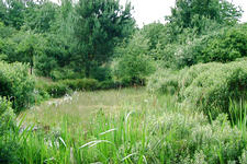 heemtuin_225x150_025.jpg