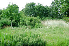 heemtuin_225x150_027.jpg