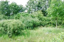 heemtuin_225x150_028.jpg