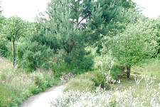 heemtuin_225x150_029.jpg
